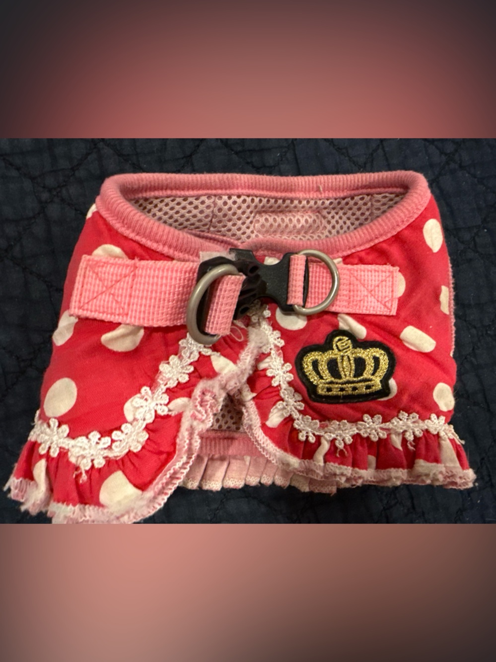 Brother Pink Polka Dot Kids Belted Harness with Gold Crown Patch